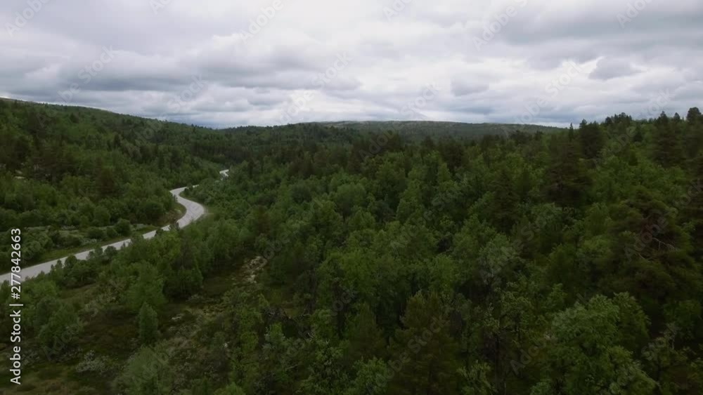 Beautiful aerial view over a green forest in Norway. A road crosses the forest. 4K Beautiful aerial view over a green forest in Norway. A road crosses the forest. 4K