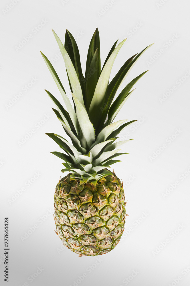 Pineapple. Tropical Fruit. Studio shoot. Pineapple. Tropical Fruit. Studio shoot.