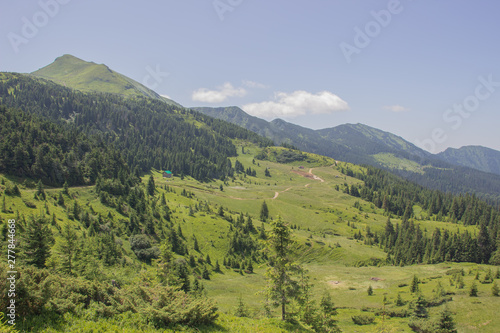 Fototapeta Naklejka Na Ścianę i Meble -  Trekking in the Carpathians, Hike to the border between Ukraine and Romania from Pop Ivan Marmarassky to Pop Ivan Chernogorsky.