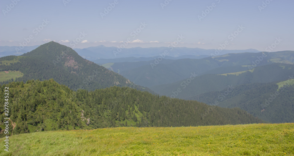 Obraz premium Trekking in the Carpathians, Hike to the border between Ukraine and Romania from Pop Ivan Marmarassky to Pop Ivan Chernogorsky.