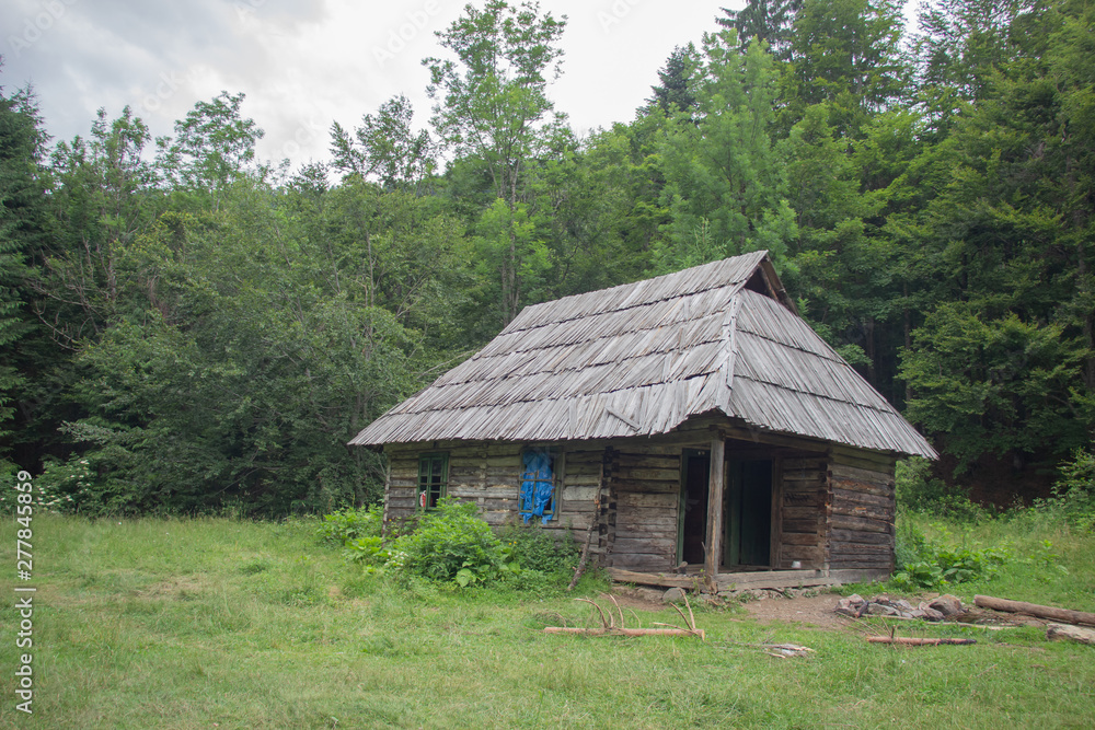 Trekking in the Carpathians, Hike to the border between Ukraine and Romania from Pop Ivan Marmarassky to Pop Ivan Chernogorsky. Trekking in the Carpathians, Hike to the border between Ukraine and Romania from Pop Ivan Marmarassky to Pop Ivan Chernogorsky.