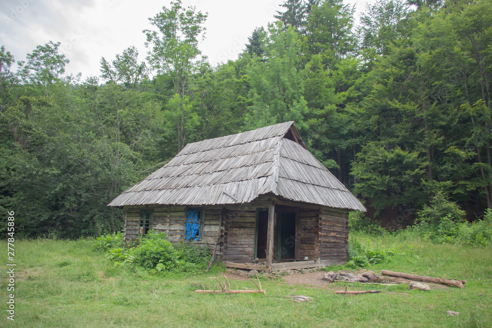 Trekking in the Carpathians, Hike to the border between Ukraine and Romania from Pop Ivan Marmarassky to Pop Ivan Chernogorsky.