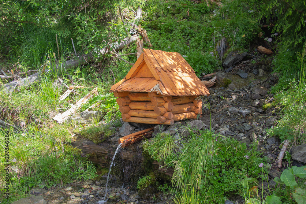 Trekking in the Carpathians, Hike to the border between Ukraine and Romania from Pop Ivan Marmarassky to Pop Ivan Chernogorsky. Trekking in the Carpathians, Hike to the border between Ukraine and Romania from Pop Ivan Marmarassky to Pop Ivan Chernogorsky.