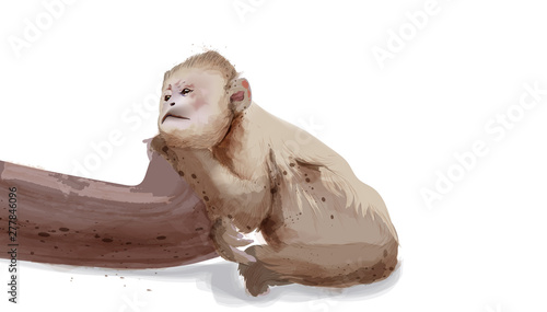Sad monkey Vector watercolor isolated on white illustrations