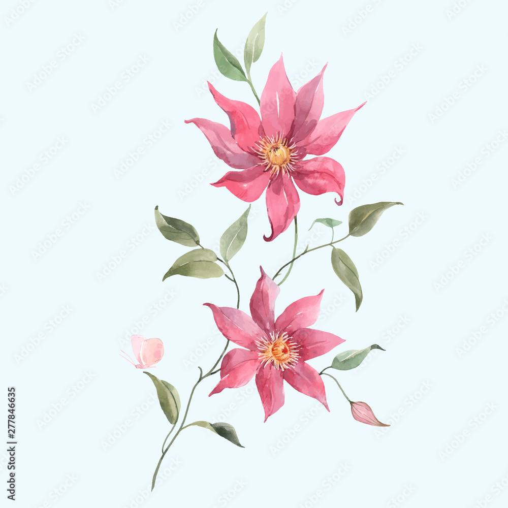 Watercolor pink tropical vector flowers