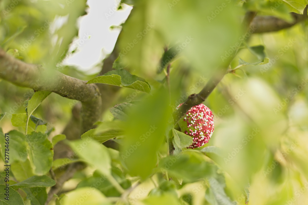 apple on the tree. Colorful apple in sprinkles.. apple on the tree. Colorful apple in sprinkles..