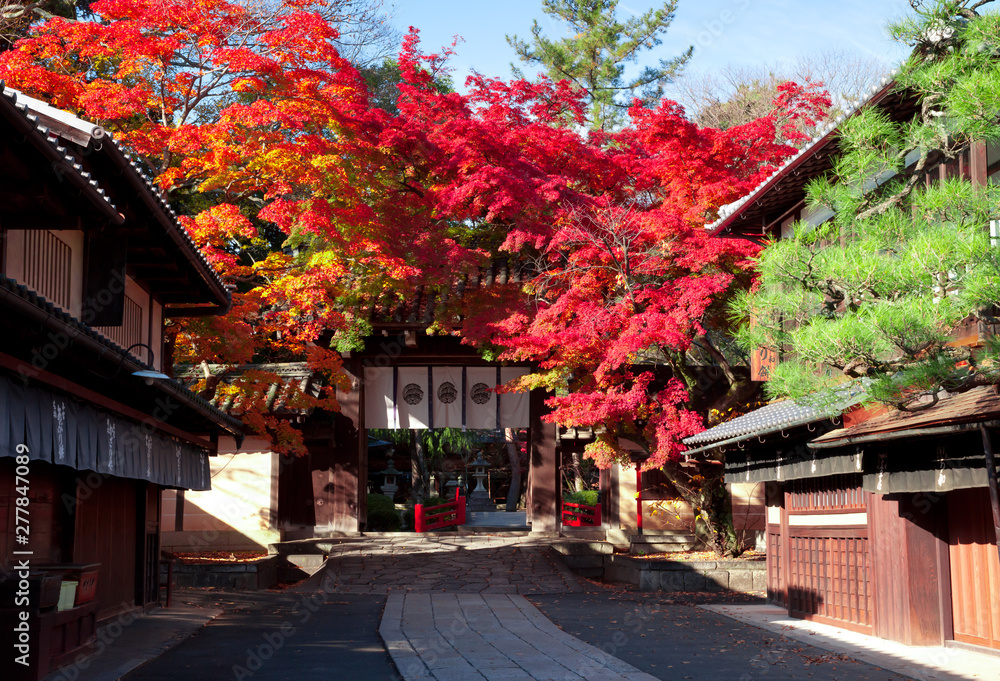 京都　今宮神社の紅葉