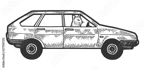 Cat driving car sketch engraving vector illustration. Scratch board style imitation. Black and white hand drawn image.