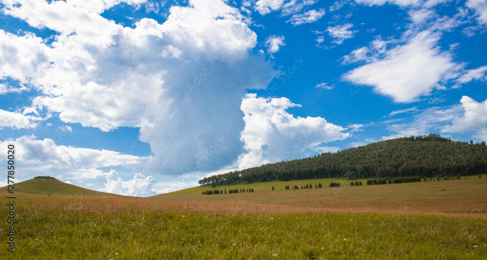 Obraz premium Blue sky with white clouds, fields and meadows with green grass, on the background of mountains. Composition of nature. Rural summer landscape.