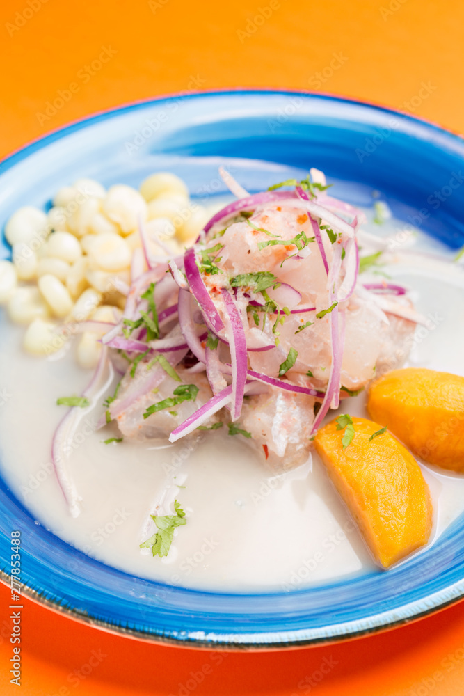 Seafood ceviche closeup, typical dish from Peru Seafood ceviche closeup, typical dish from Peru