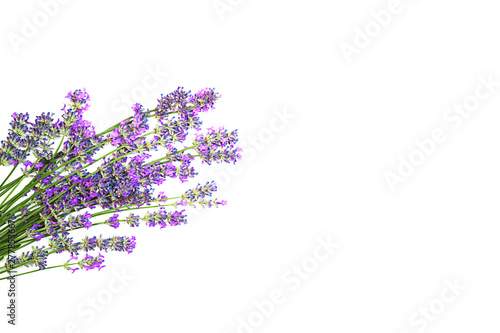 Lavender flowers pattern isolated on white background. Flat lay  top view  copy space. Selective focus.