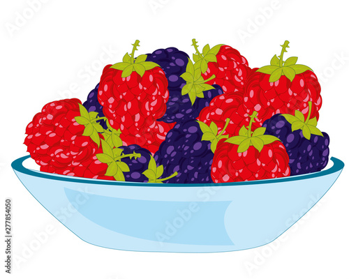 Vector illustration of the berry blackberry and raspberry on plate