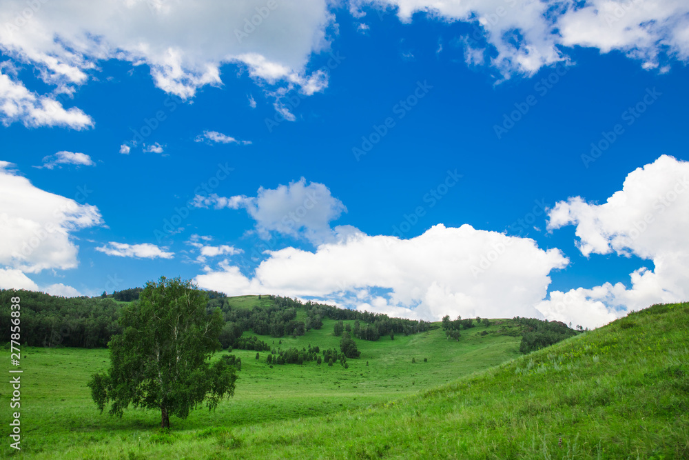 Blue sky with white clouds, fields and meadows with green grass, on the background of mountains. Composition of nature. Rural summer landscape. Blue sky with white clouds, fields and meadows with green grass, on the background of mountains. Composition of nature. Rural summer landscape.