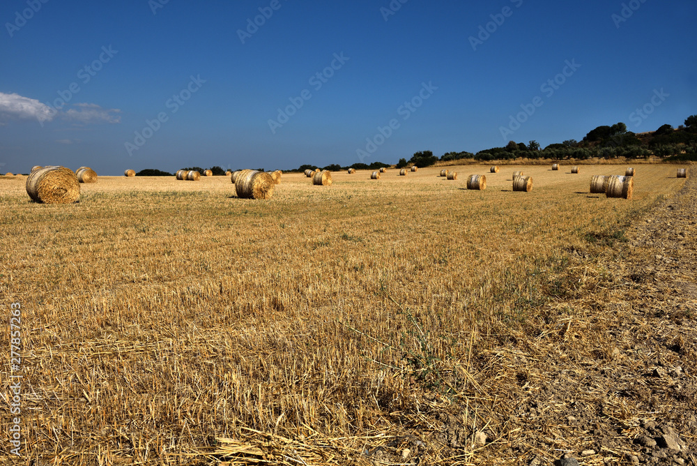 Straw bales on farmland with blue sky