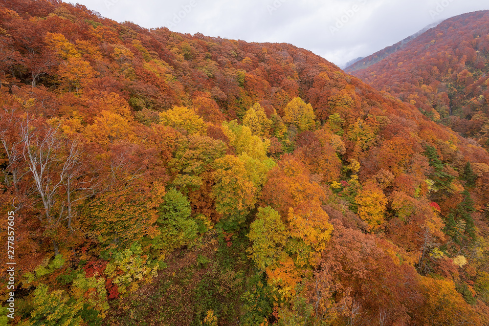 Jogakura valley in beautiful autumn season, Hakkoda, Japan.