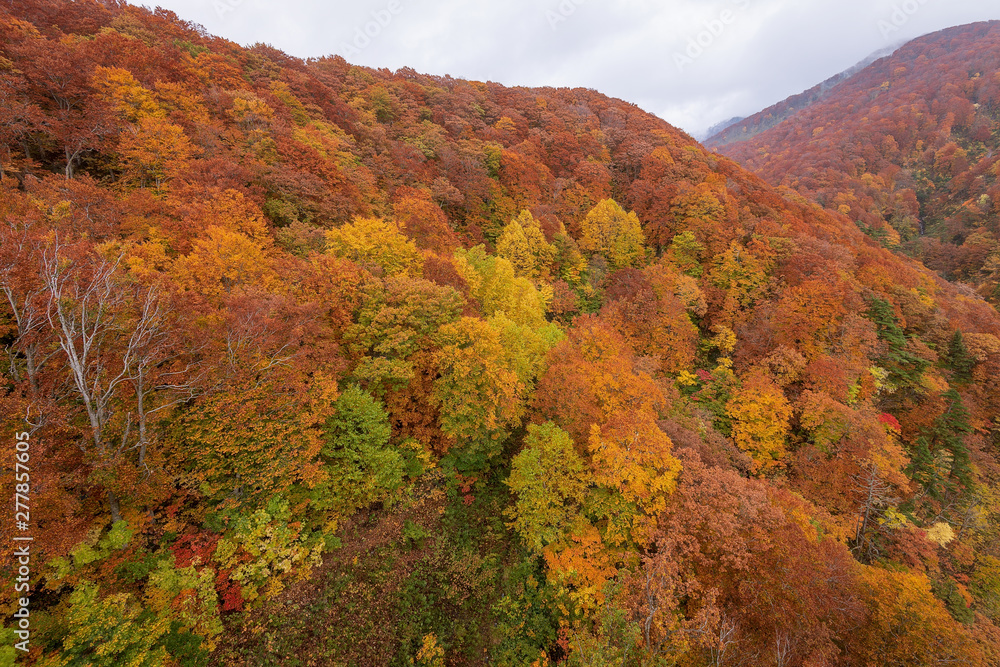 Jogakura valley in beautiful autumn season, Hakkoda, Japan. Jogakura valley in beautiful autumn season, Hakkoda, Japan.