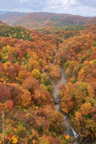 Jogakura valley in beautiful autumn season, Hakkoda, Japan.