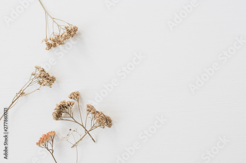 Fototapeta Naklejka Na Ścianę i Meble -  Dry floral branch on white background. Flat lay, top view minimal neutral flower composition.