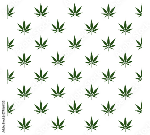 Cannabis or Marijuana pattern isolated on white background