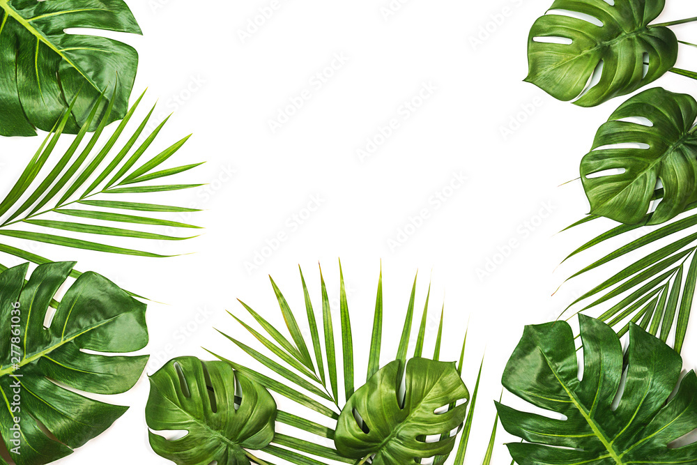 Tropical leaves Monstera and palm isolated, Swiss Cheese Plant, isolated on white background. Flat lay, top view. Tropical leaves Monstera and palm isolated, Swiss Cheese Plant, isolated on white background. Flat lay, top view.