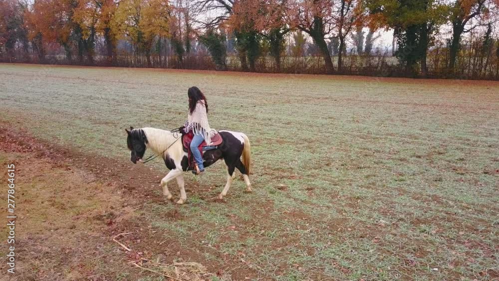 lonely brunette woman riding a white black horse autumn day lonely brunette woman riding a white black horse autumn day