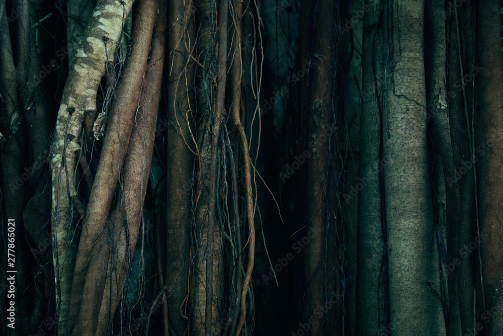 Tree Trunk And Root Background. - obrazy, fototapety, plakaty 