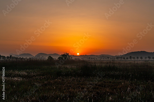 A beautiful view of the sunrise from Sorae Wetland Park, korea
