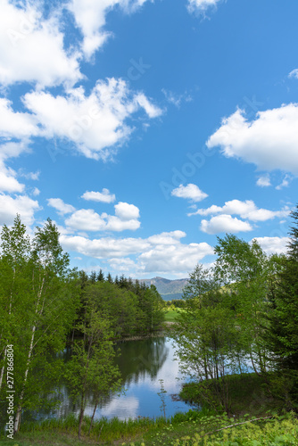 Beautiful forest mountain scenery at lakeside, nature landscape. Trees on foreground with mountains and blue sky on background in sunny day summer time