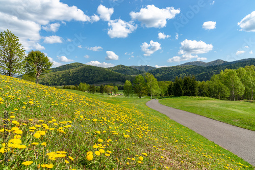 Blue sky and white clouds over rural field in a beautiful sunny day in spring time, pathway with small chrysanthemum flower, countryside view with mountains in the background photo