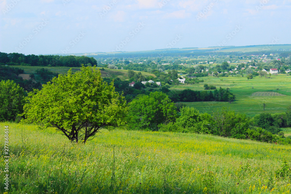 Green field and blue sky background. Landscape, nature concept. Nature Background. Green field and blue sky background. Landscape, nature concept. Nature Background.