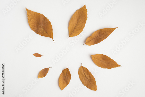 Dried autumnÂ leaves formingÂ circle