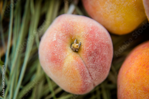 ripe orange peaches on the hay