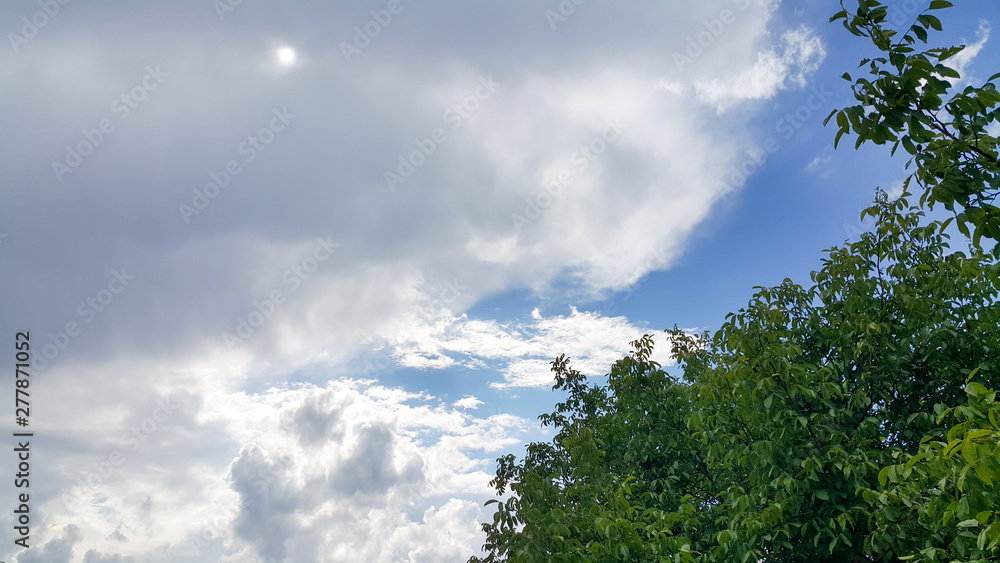 beautiful background of clouds and trees, clearly visible lines of white clouds and blue sky, above the sunbeam
