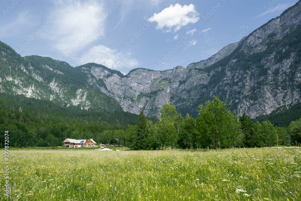 Mountains landscape with a cabin in the meadow, Slovenia.