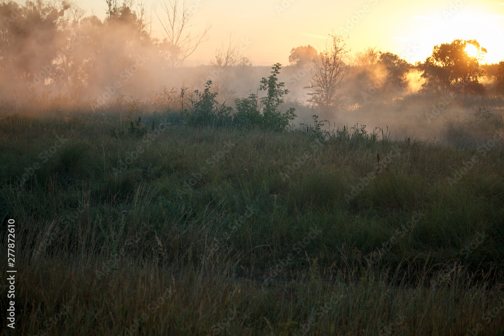 Fog landscape over a flower meadow, the first rays of dawn and dark silhouettes of trees against a sunrise, selective focus