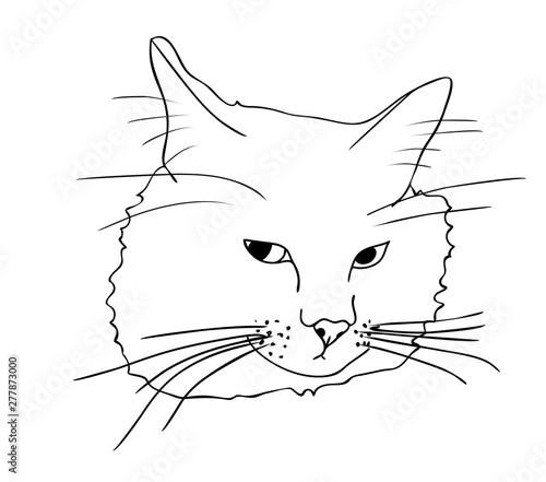Vector illustration, isolated sad offended cat muzzle in black and white colors, outline hand painted sketch drawing