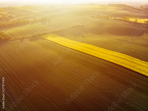 Aerial view of sunrise ofer yellow colza and green grain field