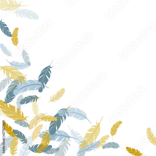 Flying feather elements airy vector design.