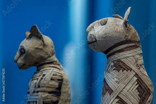 Obraz na płótnie Mummified cat mummy egyptian in a pyramid tomb