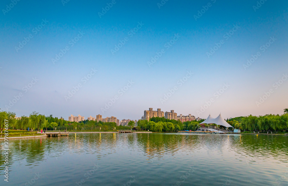 Fototapeta premium Evening scenery at Daning Tulip Park, Shanghai, China 