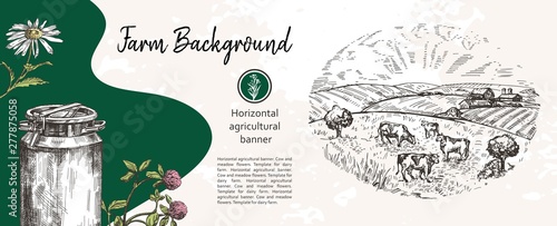Cows graze on pasture. Agricultural illustration in the style of a sketch. Horizontal agricultural banner.