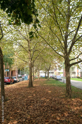 Park in Malesnica residential area, Zagreb, Croatia photo