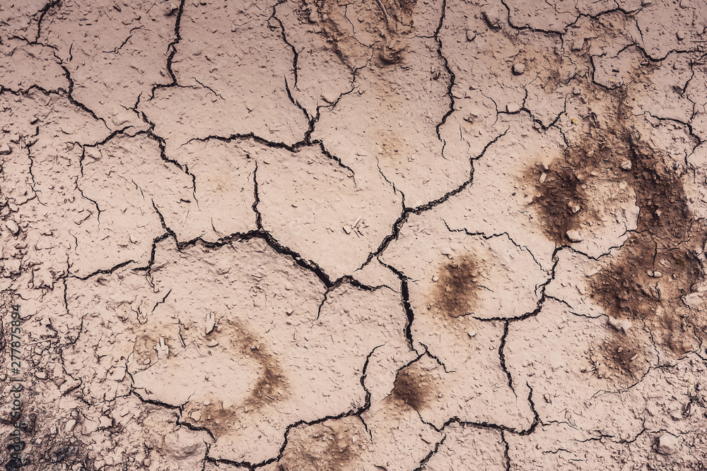 Cracked Dry Clay Ground Background and Texture Cracked Dry Clay Ground Background and Texture