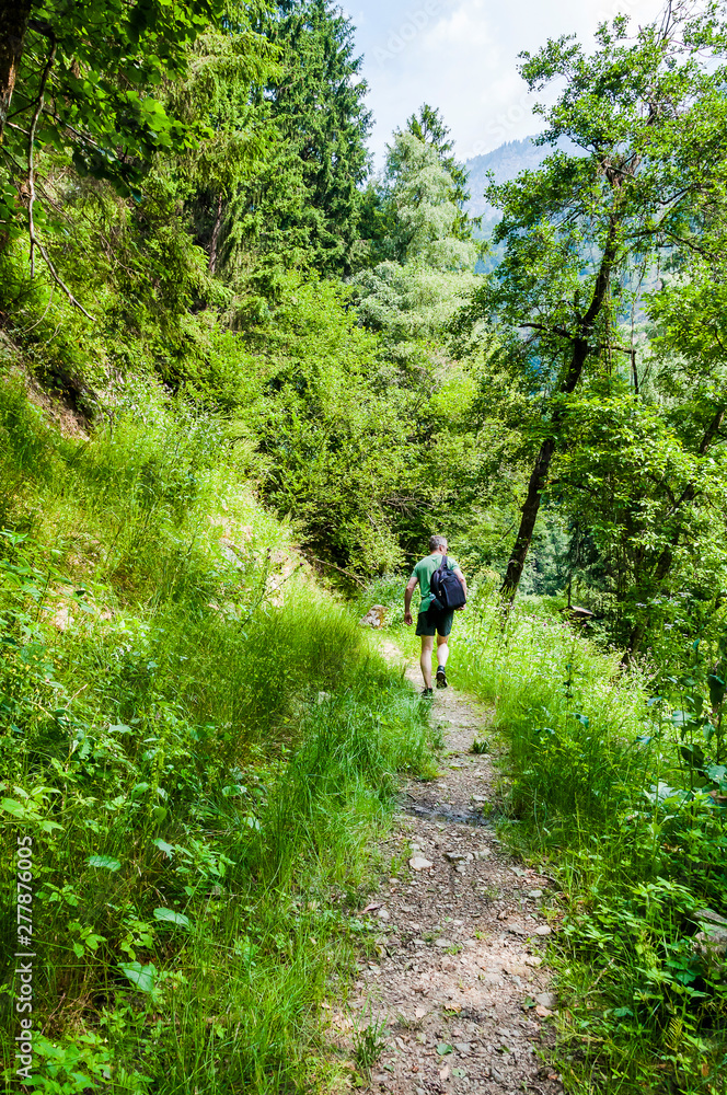 Dorf Tirol, Tirolerweg, Tiroler Kreuz, Wald, Waldweg, Wanderweg, Wanderer, Wasserfall, Vinschgau, Südtirol, Sommer, Italien Dorf Tirol, Tirolerweg, Tiroler Kreuz, Wald, Waldweg, Wanderweg, Wanderer, Wasserfall, Vinschgau, Südtirol, Sommer, Italien