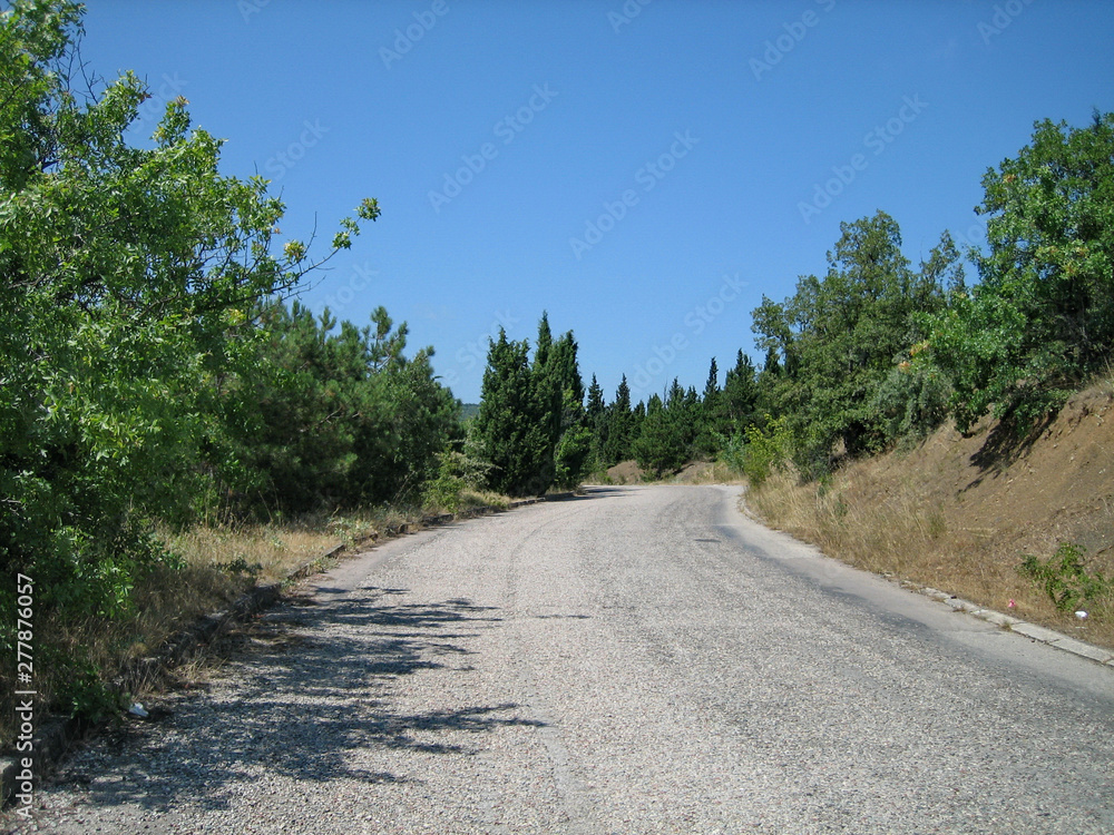 A narrow asphalt road on a hot Sunny day past evergreen trees and sun-scorched grass.