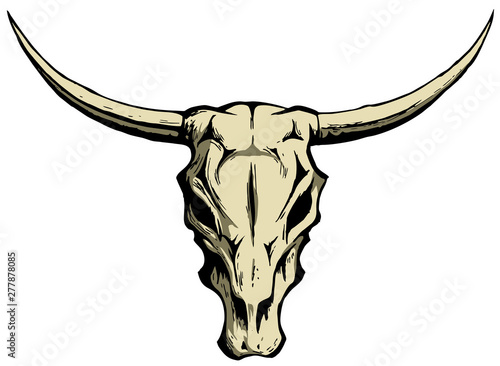 Bull or cow skull with horns, vector logo design element, isolated on white background.