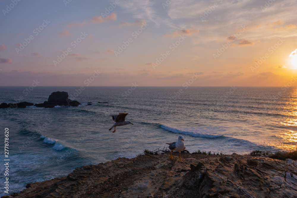 gabbiani volano sopra l'oceano atlantico al tramonto