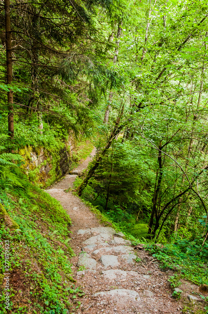 Dorf Tirol, Tirolerweg, Tiroler Kreuz, Wald, Waldweg, Wanderweg, Vinschgau, Südtirol, Sommer, Italien Dorf Tirol, Tirolerweg, Tiroler Kreuz, Wald, Waldweg, Wanderweg, Vinschgau, Südtirol, Sommer, Italien