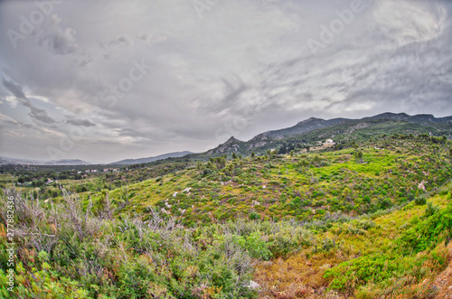 low vegetation Mediterranea Greece Athens mountain