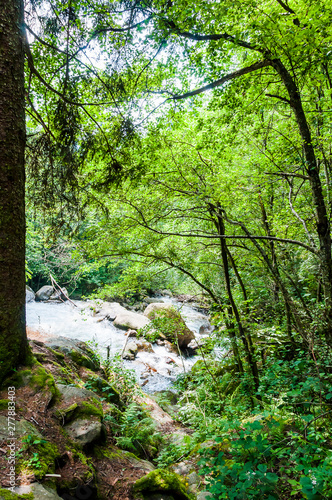 Dorf Tirol  Wasserfall  Tiroler Kreuz  Wald  Waldweg  Wanderweg  Vinschgau  S  dtirol  Sommer  Italien